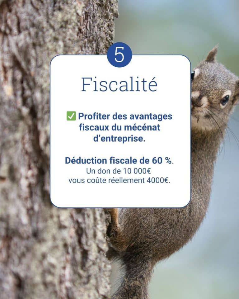 Fiscalité