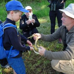 2022 Herpéto Pierre-6 mai (2)