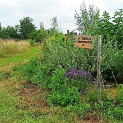 Bosquet comestible_jardin_Ecocentre_Camille PROTON - CC BY-NC-SA 4.0