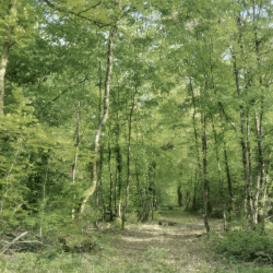 Capture d’écran 2026-01-27 à 09.58.29