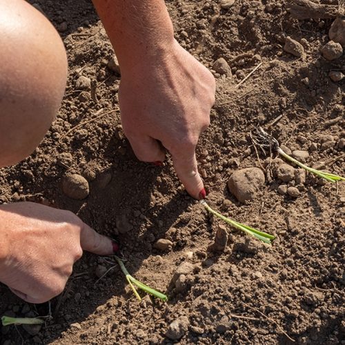 HD-CRBA-JEROME-POULALIER-2025-25 2