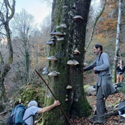 INVENTAIRE VF ERCÉ 29 NOV 24 CHRISTIAN CORDELIER ET PHILIPPE FALBET_NEO