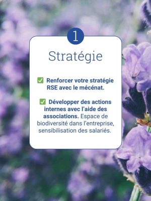 Stratégie RSE