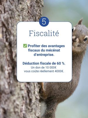 Fiscalité