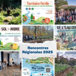 MontagePhotoVisionBoard2025MoodboardCollagePhotoModerneMinimaliste