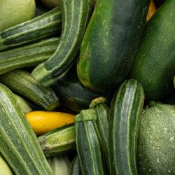 WEB-CRBA-JEROME-POULALIER-2025-72