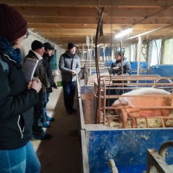 WhatsApp Image 2025-03-04 à 19.49.47_2b70ad74