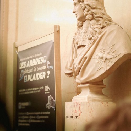 WhatsApp Image 2025-05-15 à 13.06.08_f4d663d9