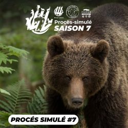 WhatsApp Image 2025-10-30 à 13.16.04_96b2003a miniature Poids du vivant